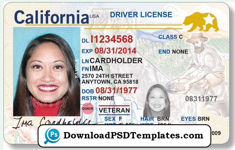 free-driver-license-editable-templates-moplaforkids